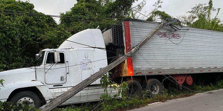 Atrapado en  Telaraña