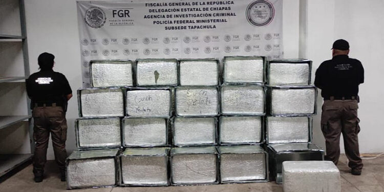 Asegura FGE más de 600 kilos de marihuana