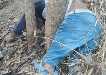 El hombre falleció y su novia está herida