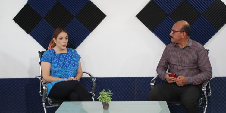 No se protegerá ni se ocultará a nadie