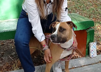 No habrá impunidad en el caso del perro arrastrado por una patrulla