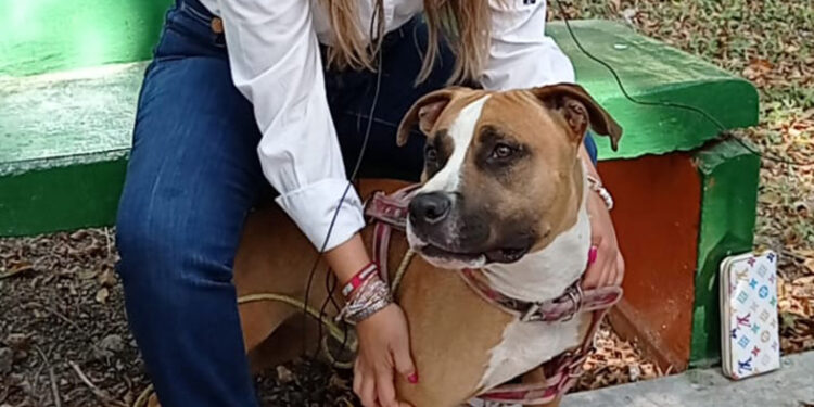 No habrá impunidad en el caso del perro arrastrado por una patrulla