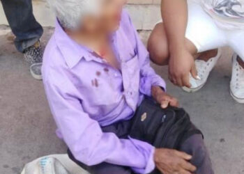 Caballo de acero golpea a abuelito