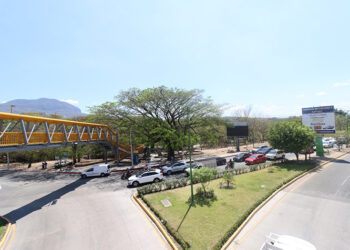 No derribarán árboles centenarios