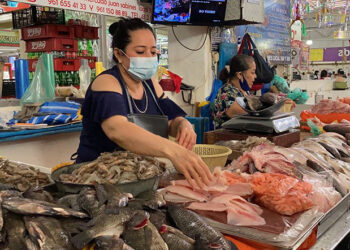 No vigila la venta de pescados y mariscos