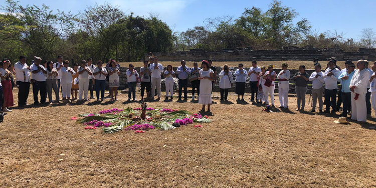 Se cargan de energía