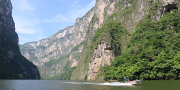 Hay crecimiento y a la vez preocupación en el sector