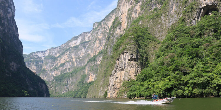 Hay crecimiento y a la vez preocupación en el sector