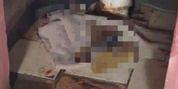 Murieron sus gemelitos