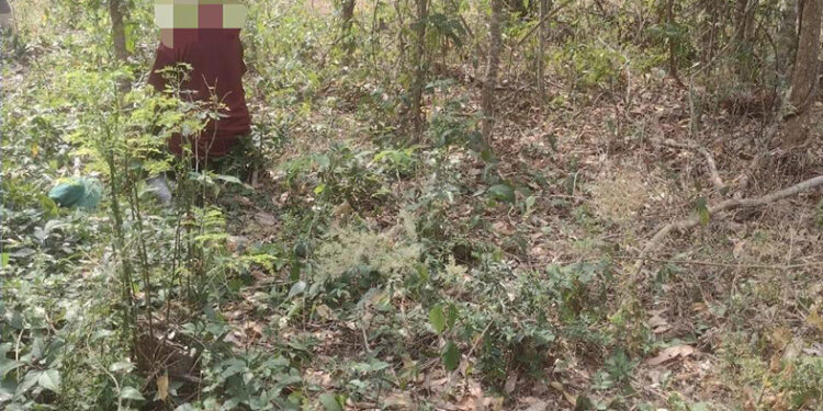 Se colgó en la parcela