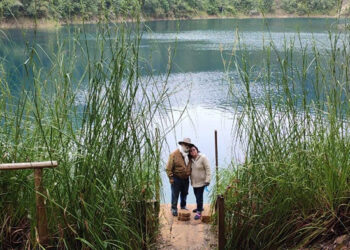 Más de 700 mil turistas visitarán ANP