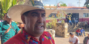 Especula con los precios del maíz