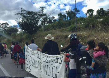 Desplazamientos y migración, impactan en las lenguas maternas