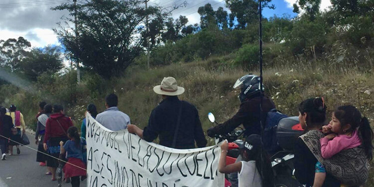 Desplazamientos y migración, impactan en las lenguas maternas