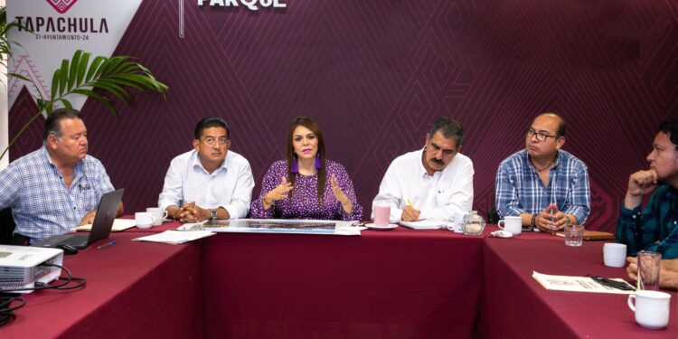 Especialistas respaldan proyecto del parque central