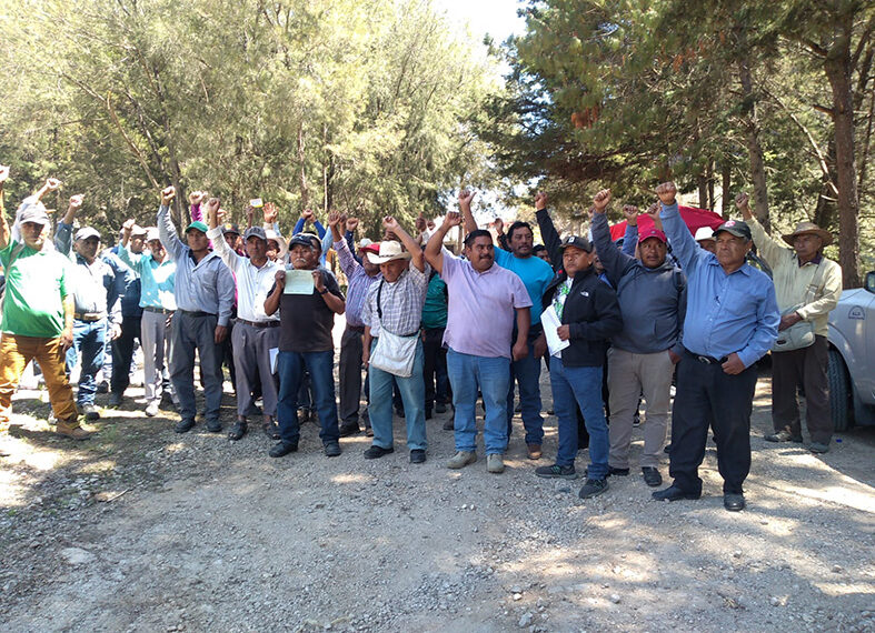 Alertan por venta ilegal de inmuebles