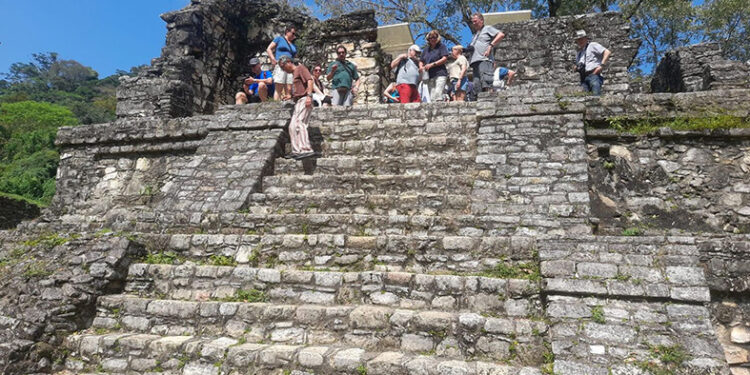 Llegan a cargarse de energía