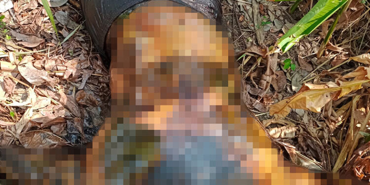 Desconocido putrefacto