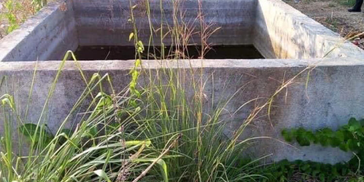 Flotaba en un tanque