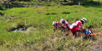 Estaba entre el monte