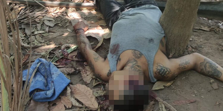 Le volaron los sesos