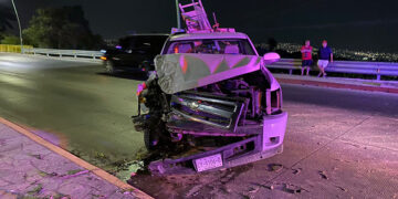 Se estampó en un árbol