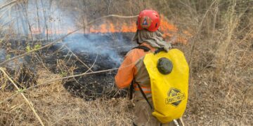 En menos de una semana dos incendios