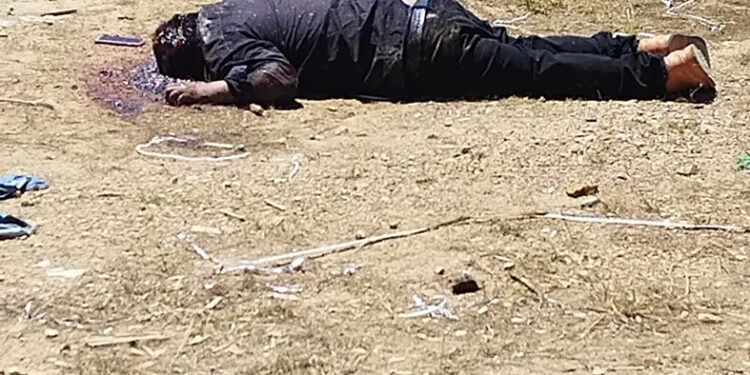 Le dieron un tiro en la cabeza