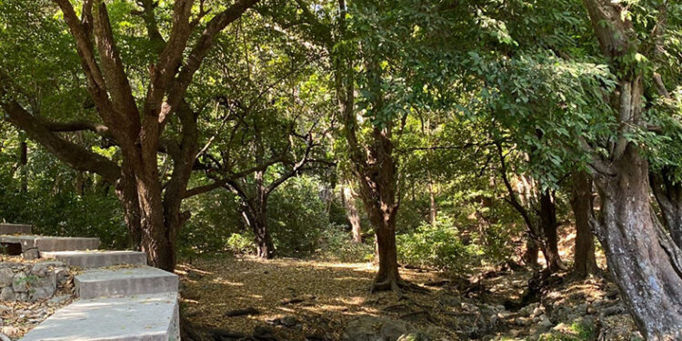 El Zapotal, un punto turístico en la capital