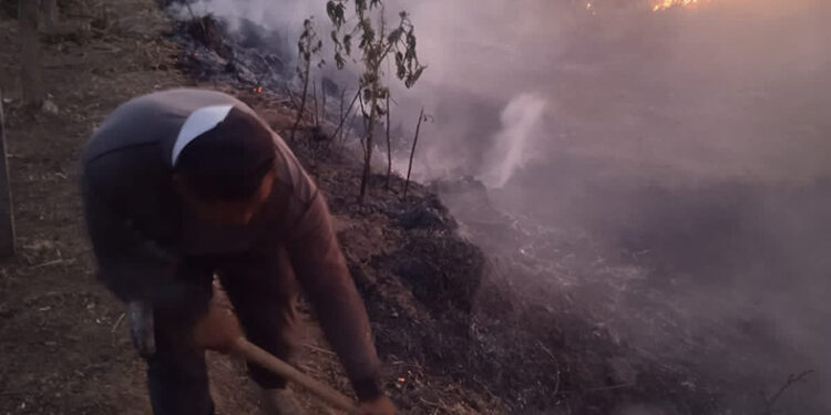 Mala calidad del aire, un riesgo para la salud