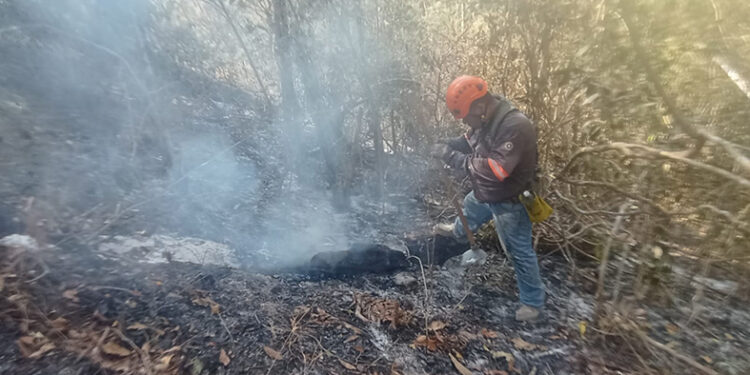 Liquida incendio en el Mactumatzá