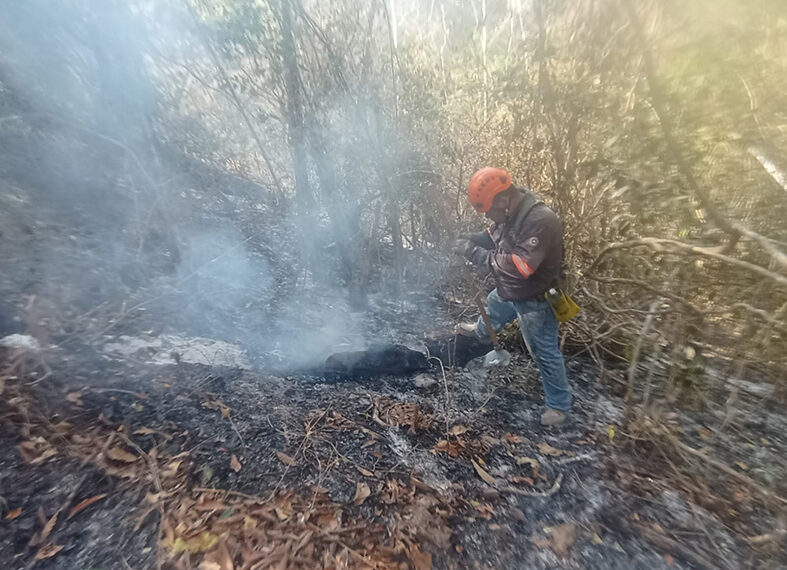 Liquida incendio en el Mactumatzá