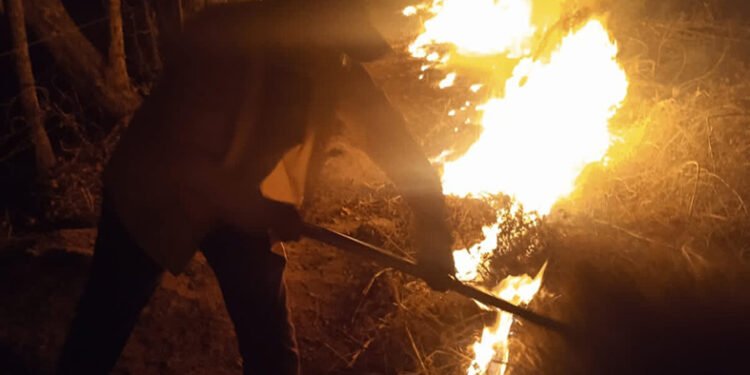 38 incendios se registraron en72 horas