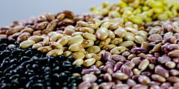 Impulsan consumo de granos