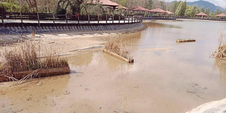 Autoridades municipales niegan desastre ecológico