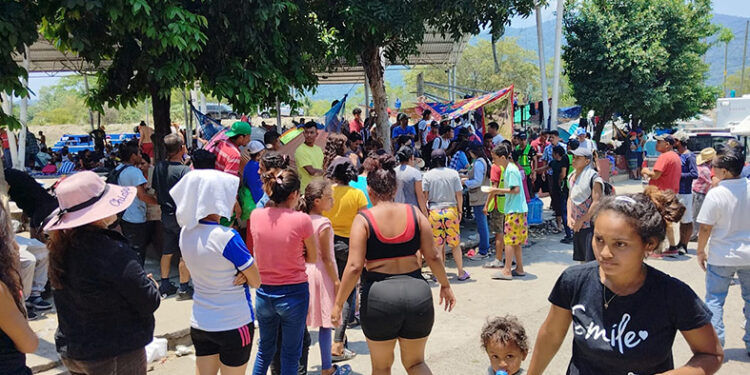 COLABORACIÓN INVITADA