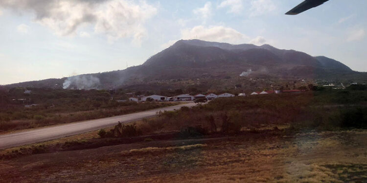 COLABORACIÓN INVITADA