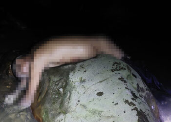 Asesinado a golpes