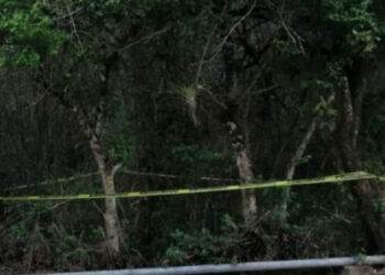 Tirada en el monte