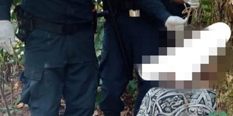 Se colgó de un árbol