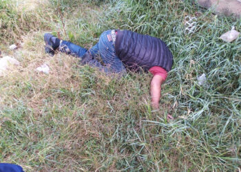 Hincado en el monte
