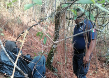 No estaba muerto, andaba de parranda