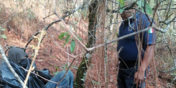 No estaba muerto, andaba de parranda