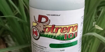 Se suicidó un menor