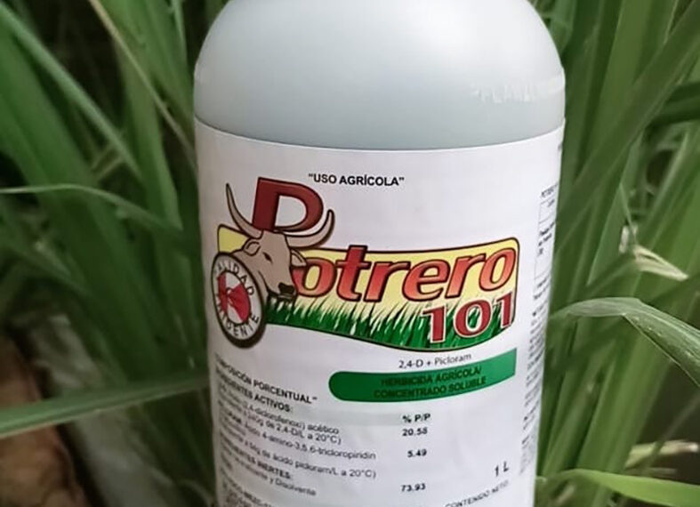 Se suicidó un menor