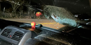 Le siguen lanzando piedras a los autos