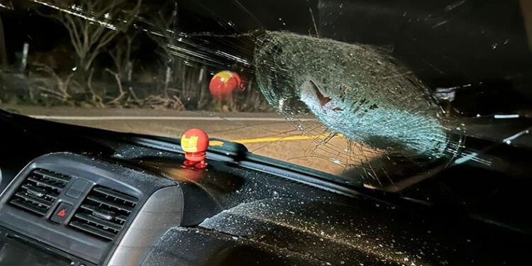 Le siguen lanzando piedras a los autos