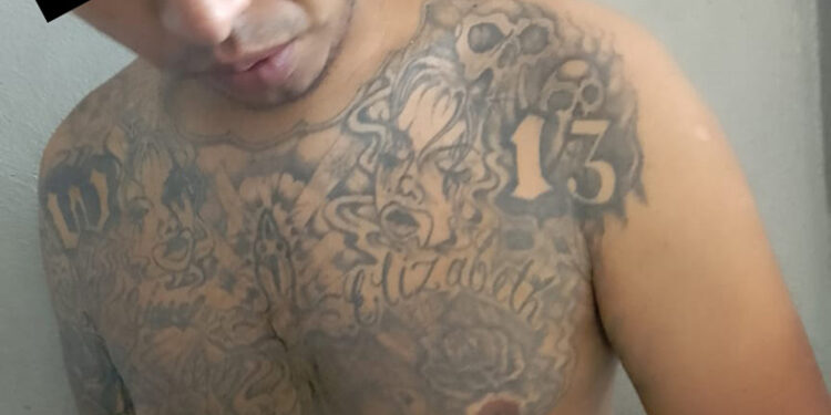 Detienen a Mara Salvatrucha