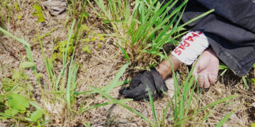 Más de 47 personas muertas en accidente de motocicleta