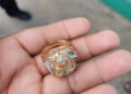 Le robaron el anillo
